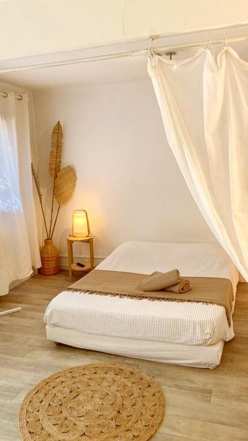 Superbe Appartement Boheme Dans Les Vignes Νιμ Εξωτερικό φωτογραφία