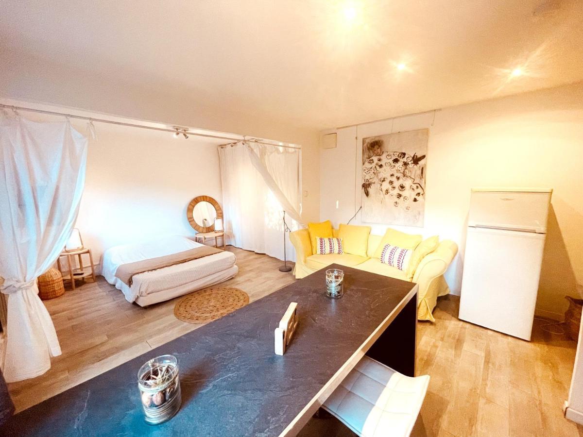 Superbe Appartement Boheme Dans Les Vignes Νιμ Εξωτερικό φωτογραφία